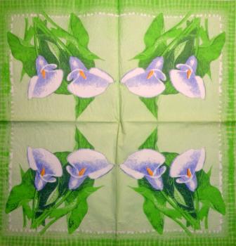 035 Calla - 3-ply